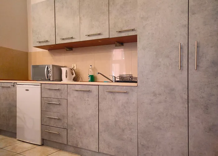 公寓 琥珀公寓 *